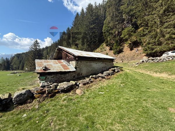 Rustico Cogolo, Peio, TN Vendita