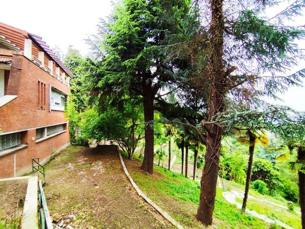 Villa singola Pino Torinese, TO Vendita - Foto 2