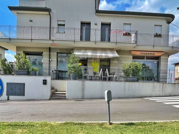 Attività  Commerciale Villafranca Padovana, PD Vendita - Foto 4