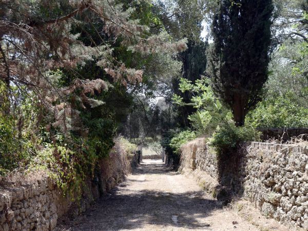 Villa o villino Gioia del Colle, BA Vendita - Foto 2