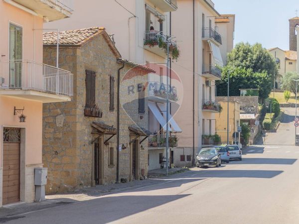 Casa Indipendente Farnese, VT Vendita - Foto 3