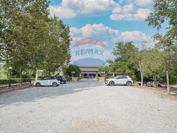 Agriturismo Bertinoro, FC Vendita - Foto 3