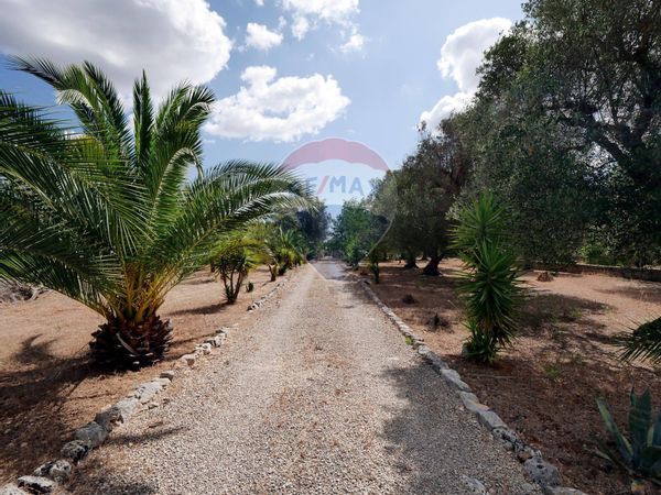 Villa singola Ostuni, BR Vendita - Foto 4