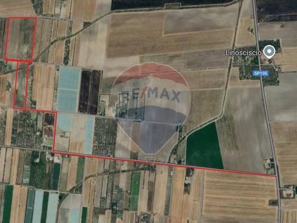 Terreno Segezia, Foggia, FG Vendita - Foto 2