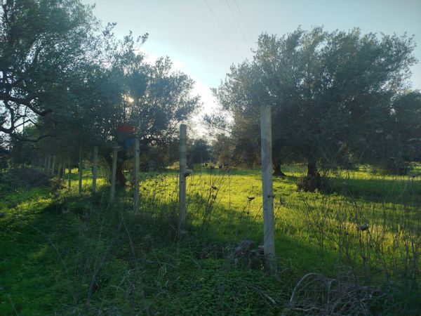Villa singola Noto, SR Vendita - Foto 4
