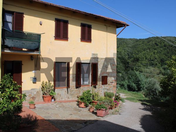 Casa Semindipendente Vitolini, Vinci, FI Vendita