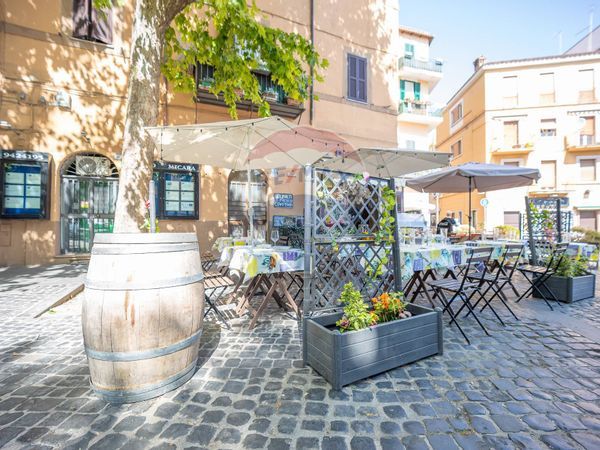 Attività  Commerciale Vermicino, Frascati, RM Vendita - Foto 3