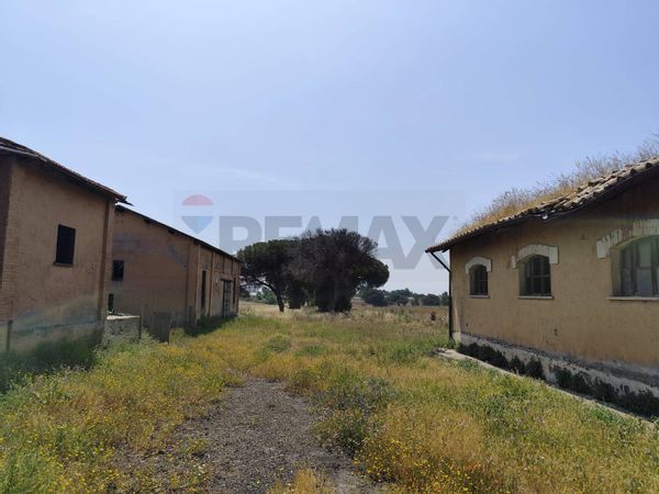 Terreno S. Palomba, Pomezia, RM Vendita - Foto 2