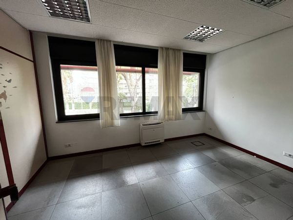 Ufficio S. Pasquale, Bari, BA Affitto - Foto 4