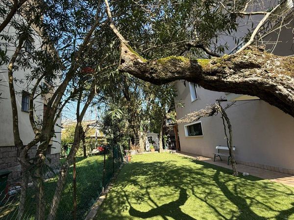 Villetta bifamiliare Paltana, Padova, PD Vendita - Foto 4