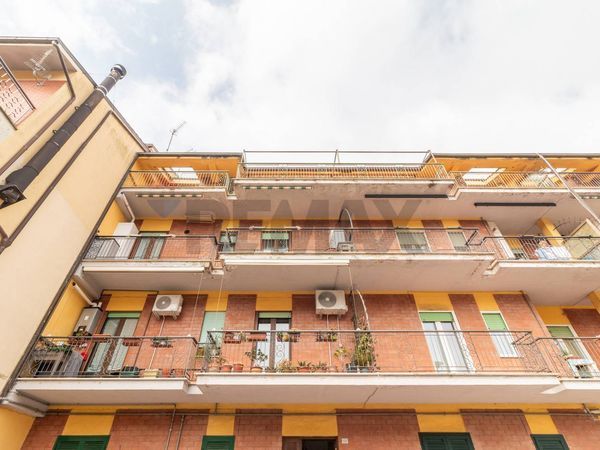 Attico/Mansarda Piansano, VT Vendita - Foto 4