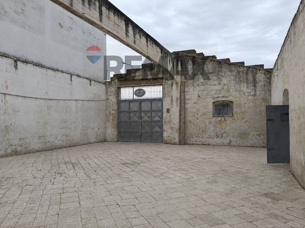 Terreno Edificabile San Giorgio Ionico, TA Affitto - Foto 3