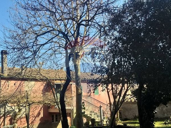 Cascina/Casale Pomarance, PI Vendita - Foto 3