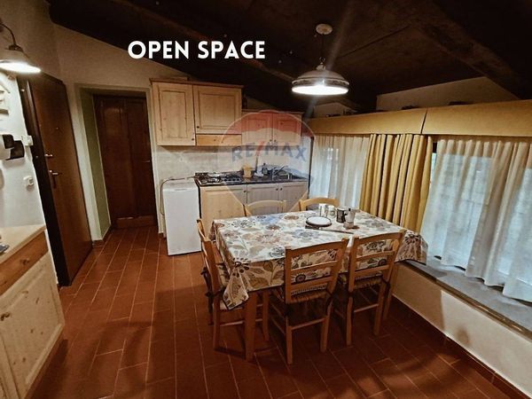 Appartamento Castel del Piano, GR Vendita - Foto 4