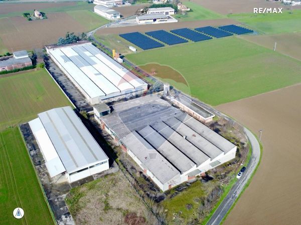 Capannone Industriale Sale, AL Vendita - Foto 4