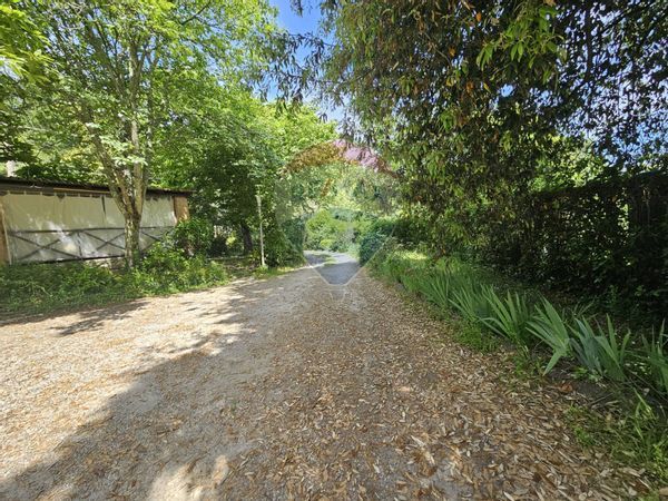 Cascina/Casale Sassetta, LI Vendita - Foto 3