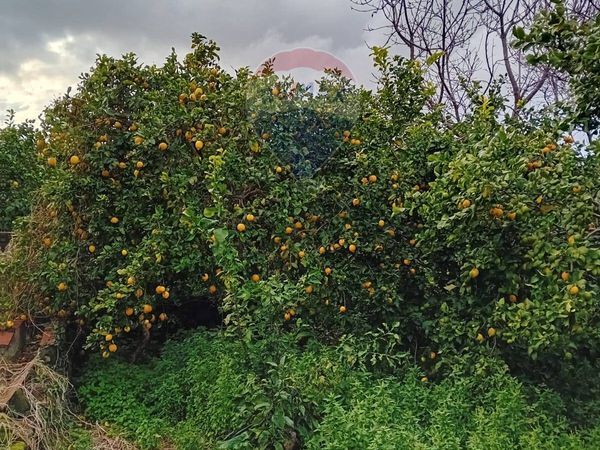 Terreno Centuripe, EN Vendita - Foto 3