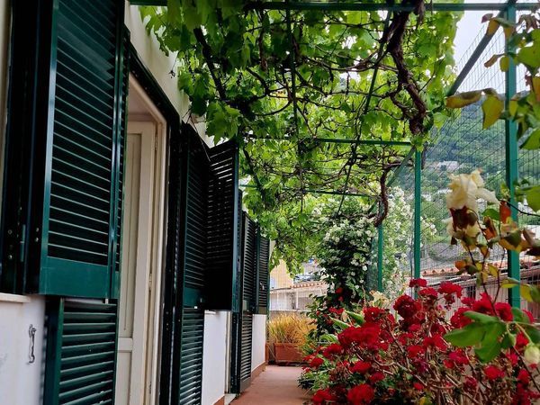 Villa o villino Anacapri, NA Vendita - Foto 4