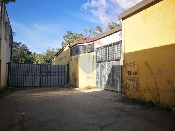 Capannone Industriale Ponte Mammolo, Roma, RM Vendita - Foto 3