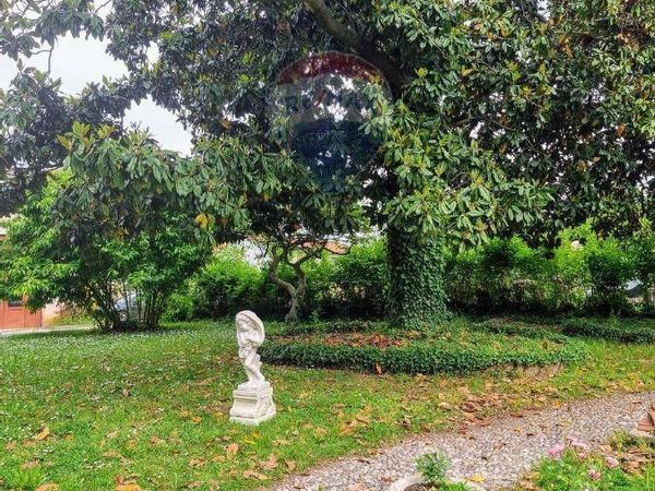 Villa singola Dolo, VE Vendita - Foto 3