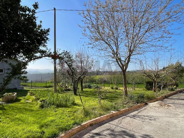 Casa Semindipendente Filottrano, AN Vendita - Foto 4