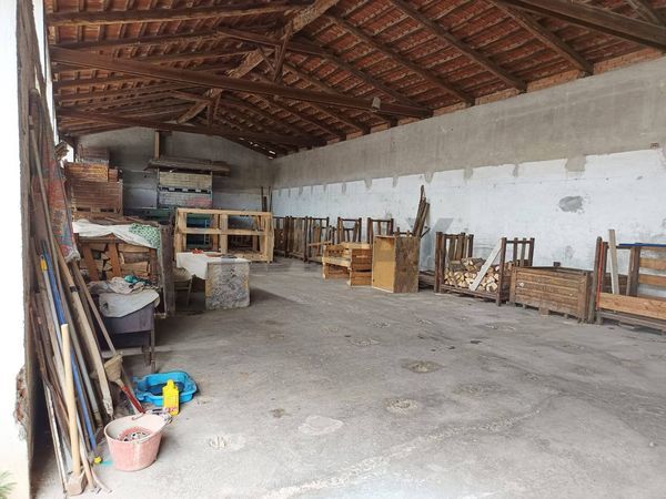 Capannone Industriale Casevecchie, Piscina, TO Vendita - Foto 4