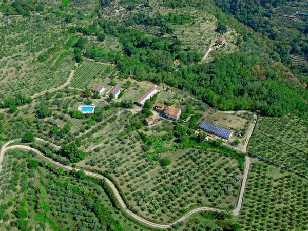 Agriturismo Pulicciano, Castelfranco Piandiscò, AR Vendita