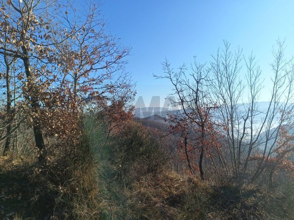 Cascina/Casale Cairo Montenotte, SV Vendita - Foto 3