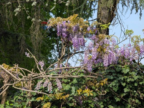 Villa a schiera Cittanova, Modena, MO Vendita - Foto 2