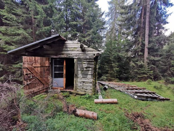 Baita/Chalet/Trullo Lozzo di Cadore, BL Vendita
