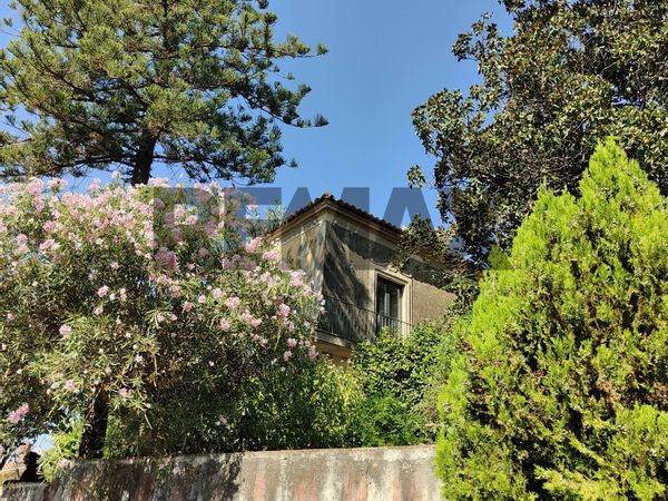 Villa singola Trecastagni, CT Vendita - Foto 2