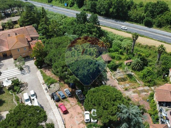 Attività  Commerciale Campagnano di Roma, RM Vendita - Foto 3