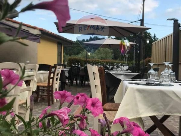 Ristorante Pistoia ovest, Pistoia, PT Vendita - Foto 3