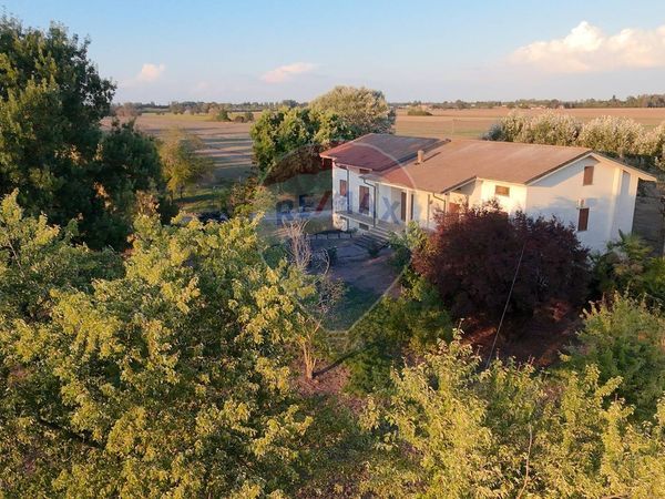 Villa o villino San Felice sul Panaro, MO Vendita - Foto 4