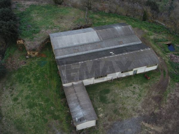 Terreno Celleno, VT Vendita - Foto 4