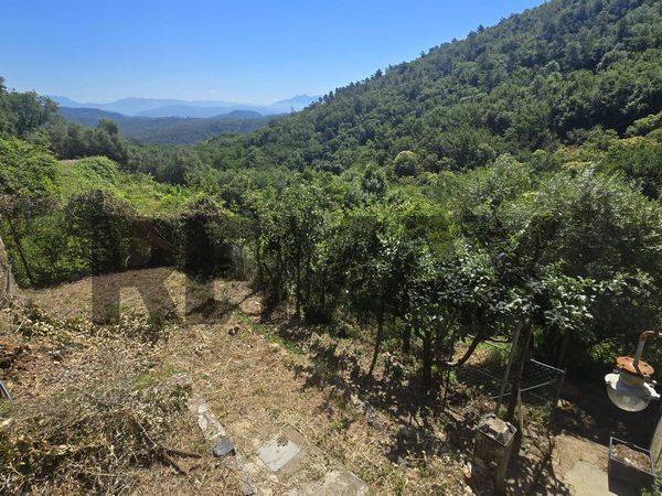Casa Indipendente Quaratica, Riccò del Golfo di Spezia, SP Vendita - Foto 2
