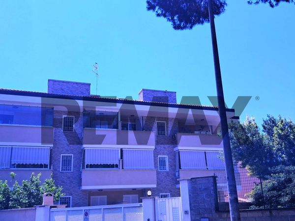 Appartamento Ladispoli, RM Vendita - Foto 4