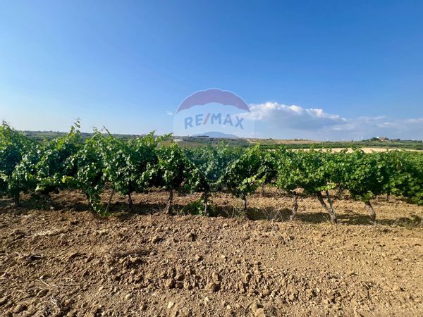 Terreno Edificabile Menfi, AG Vendita - Foto 2