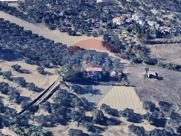 Rustico Caparrone, Collecorvino, PE Vendita - Foto 4