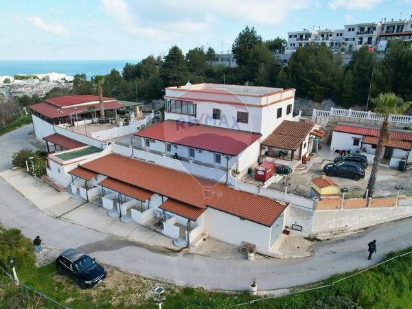 Appartamento Peschici, FG Vendita