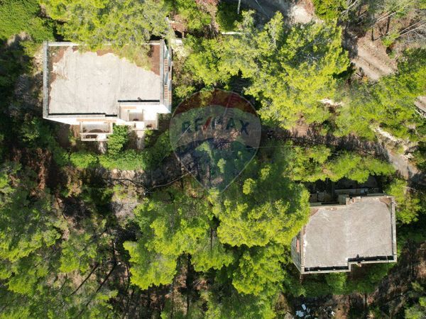 Rustico Vieste, FG Vendita - Foto 2