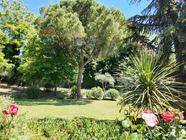 Villa o villino Pinocchio, Ancona, AN Vendita - Foto 4