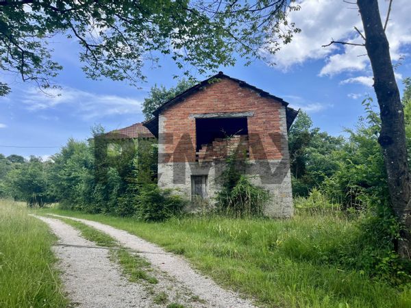 Cascina/Casale Sant'Antonio Tortal, Borgo Valbelluna, BL Vendita - Foto 4