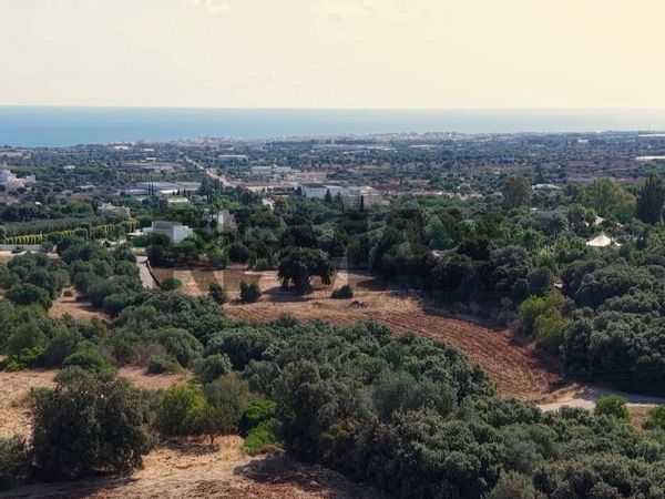 Fattoria Polignano a Mare, BA Vendita - Foto 2