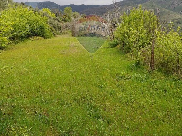 Terreno Roccella Valdemone, ME Vendita - Foto 4