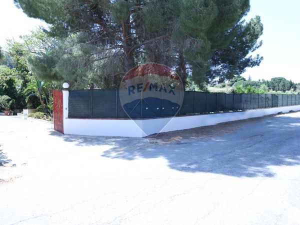 Villa singola Balestrate, PA Affitto - Foto 3