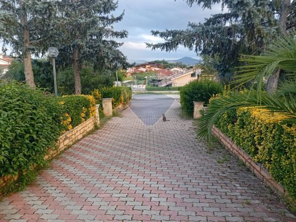 Ristorante Frascati, RM Affitto - Foto 4