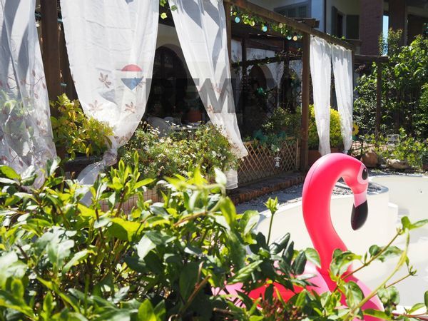Appartamento Marina di Pisa, Pisa, PI Vendita - Foto 3