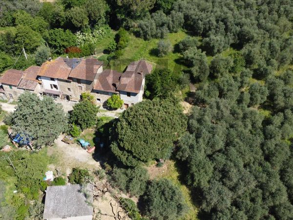 Cascina/Casale Vinci, FI Vendita - Foto 3