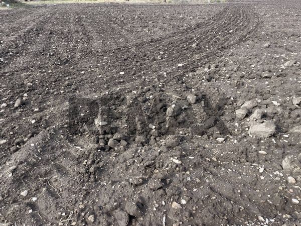 Terreno Zona Extraurbana, Foggia, FG Vendita - Foto 4